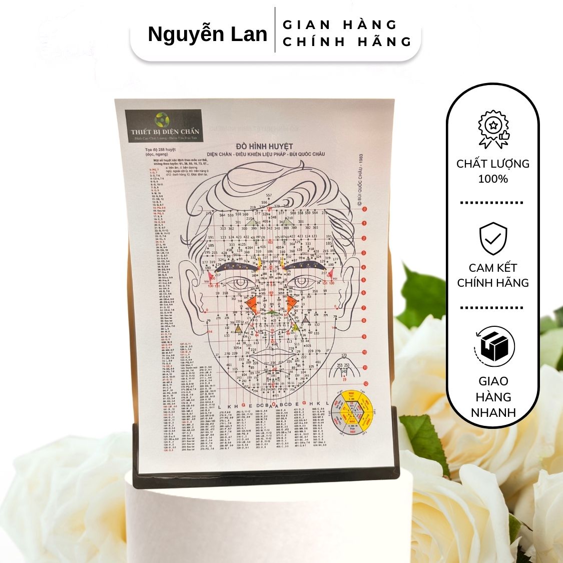 Tranh phác đồ sơ đồ huyệt trên mặt a4 ép bóng siêu đẹp
