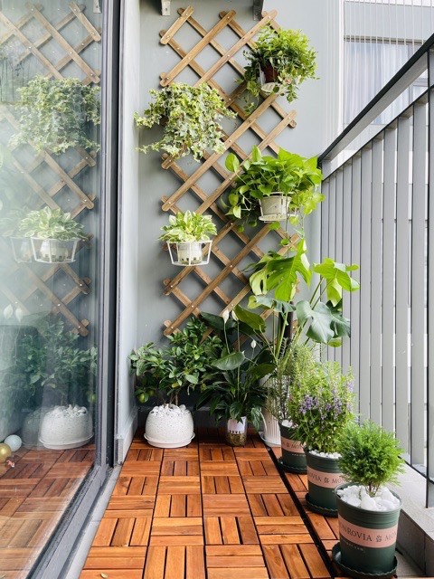 [Freeship MAX] Giàn gỗ treo cây ban công kích thước 200 x 60 cm , trang trí ban công sân thượng, decor sân vườn, kệ gỗ treo tường - Hàng Rào Gỗ Chống Ăn Mòn Ngoài Trời, Giàn treo hoa ban công chung cư