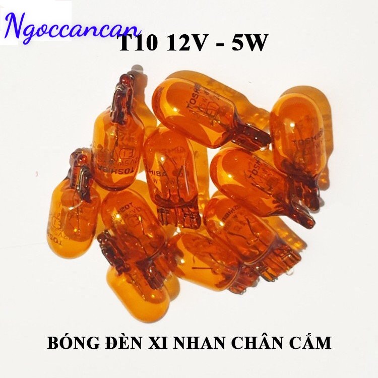 Combo Bóng Đèn T10 12V 5W Xi Nhan Vàng 1 Tóc Chân Cắm Halogen Toshiba