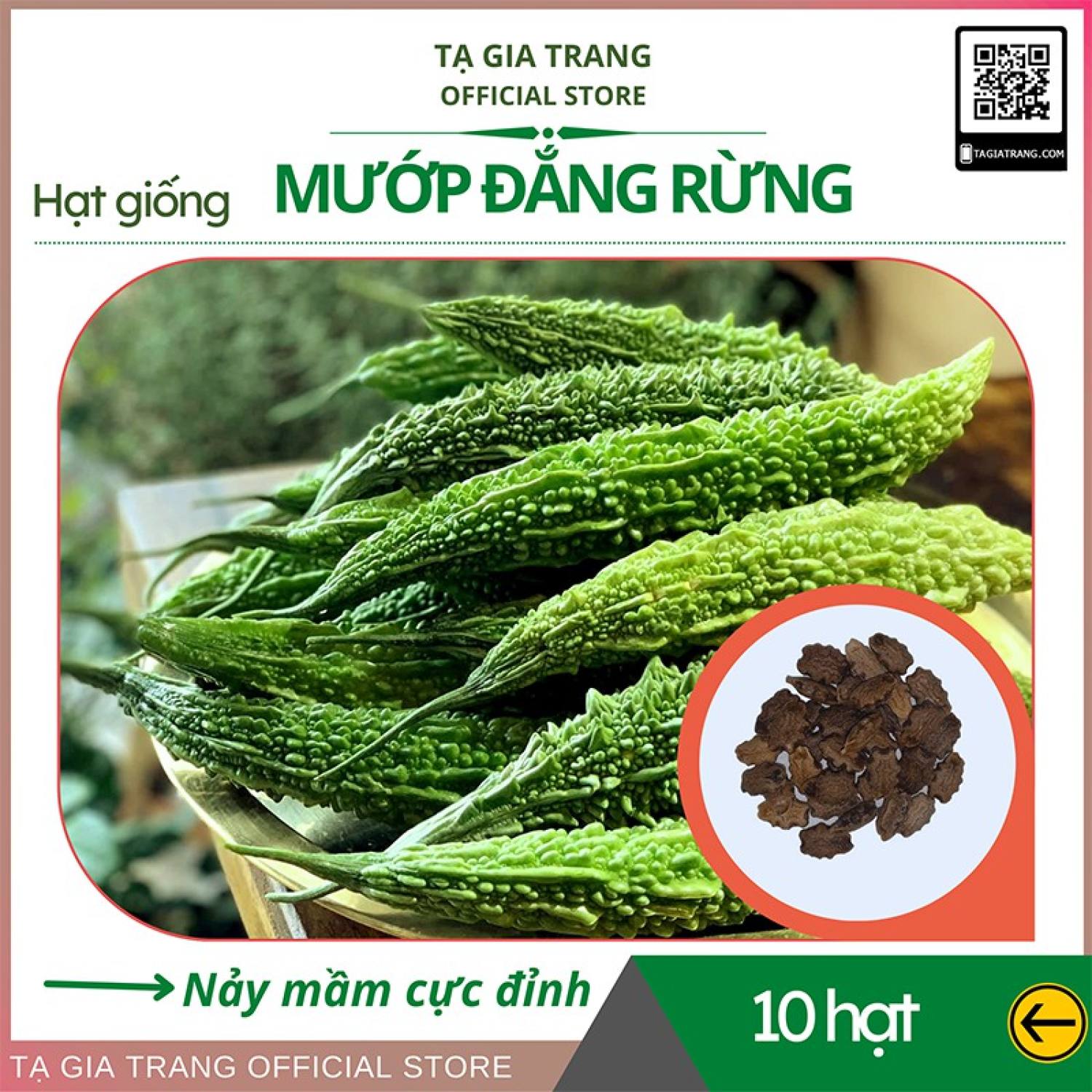 Ma34c gói hạt giống mướp đắng rừng 5 hạt