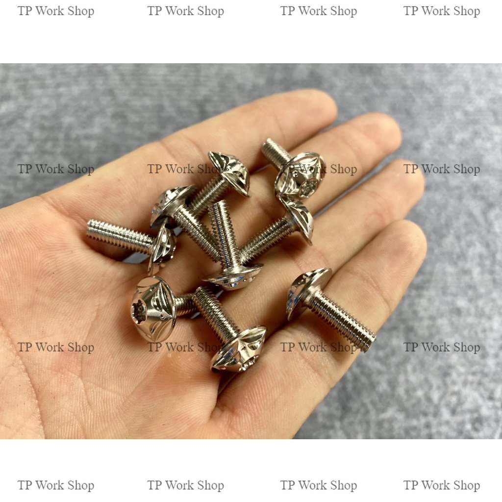 Ốc áo salaya sao size 5li 6li