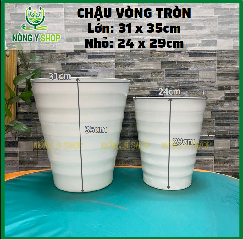 Chậu Nhựa Vòng Tròn, chậu nhựa trắng, chậu vòng tròn trắng cao Trồng Hoa Và Cây Cảnh