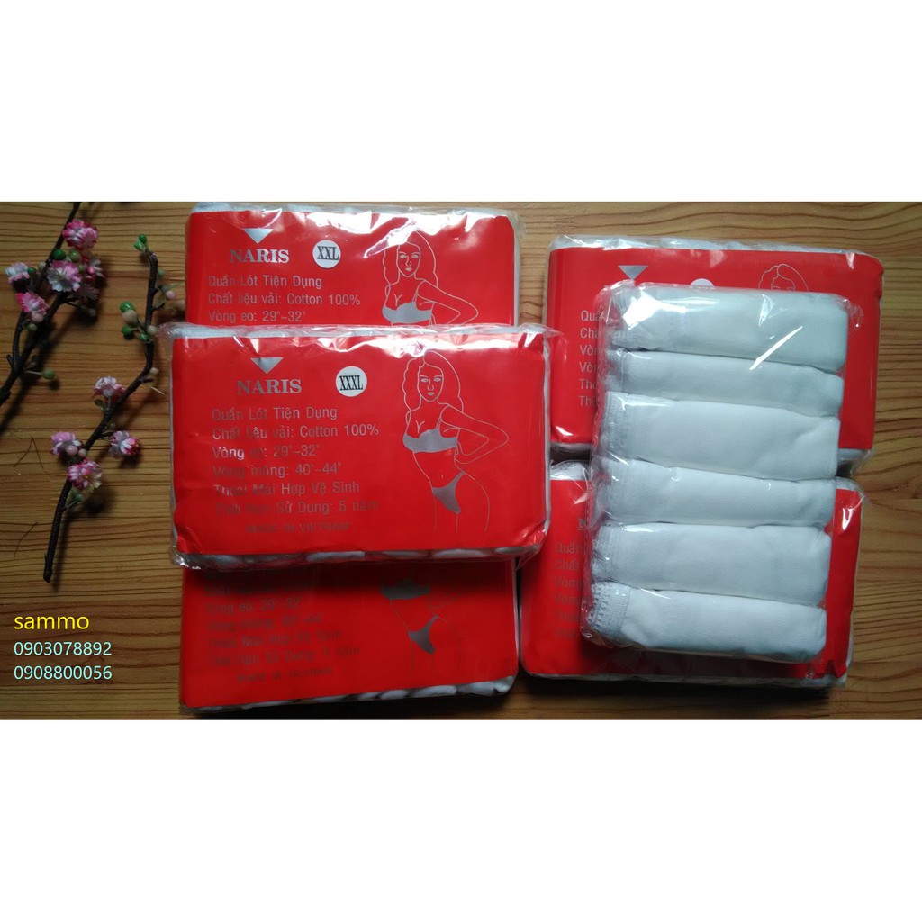 Combo 10 bịch quần lót giấy cotton nữ cao cấp size m -> 4xl hàng loại 1