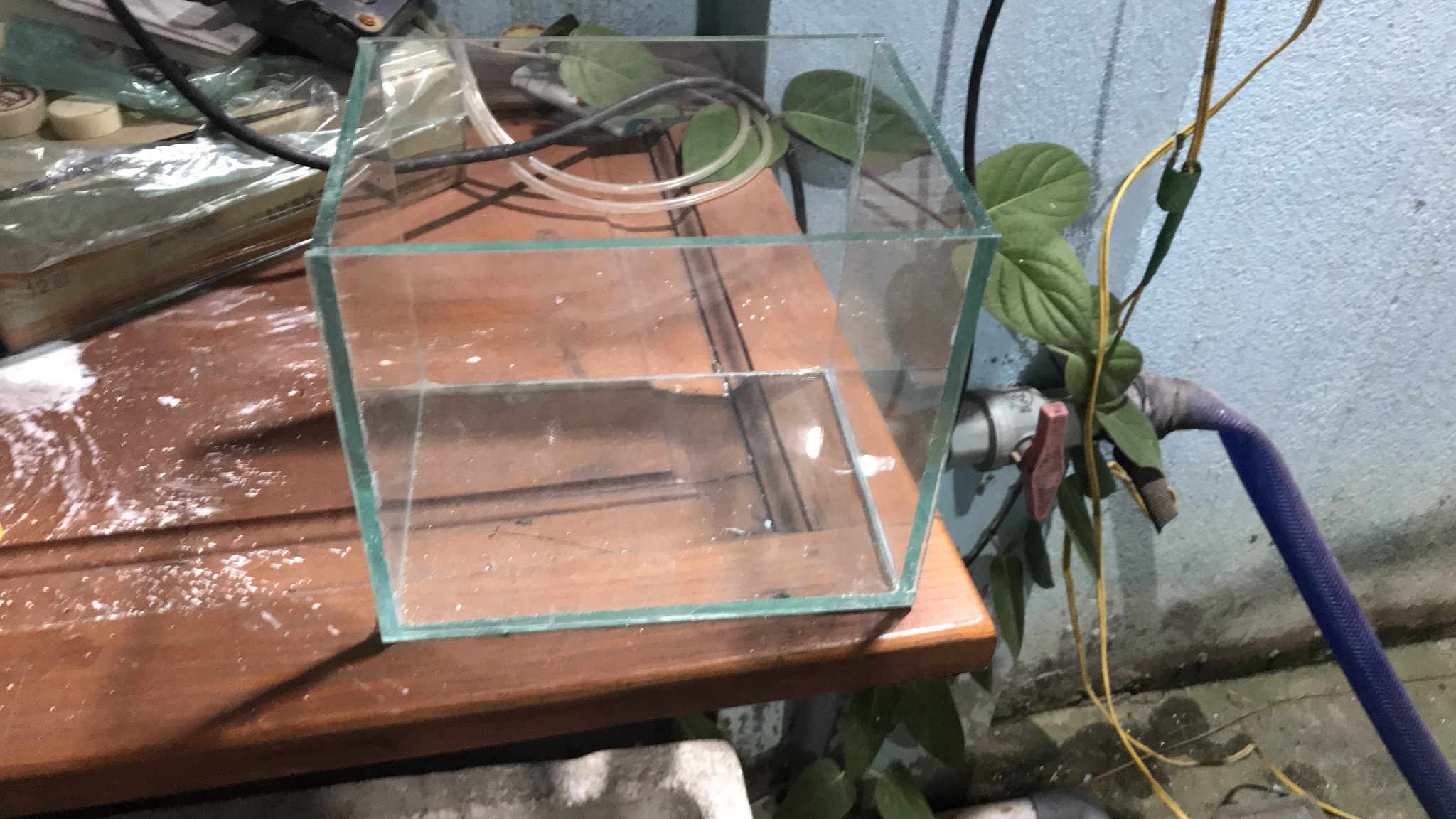 Bể cá 15x10x15