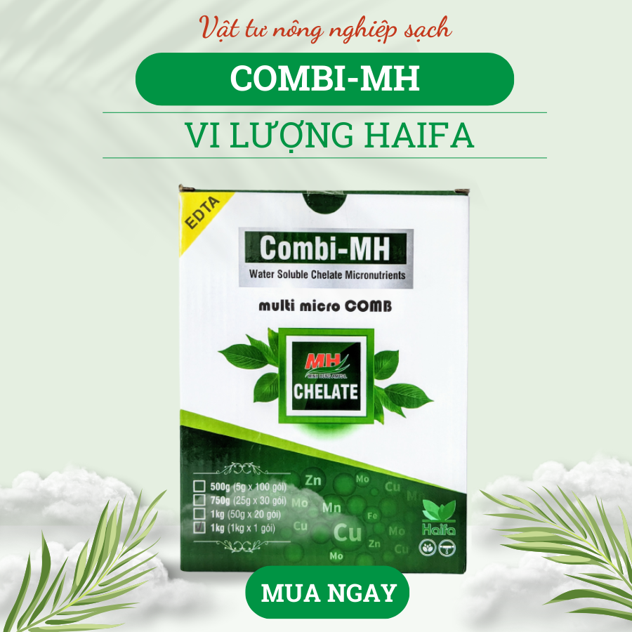 Phân Vi lượng Combi-MH Haifa