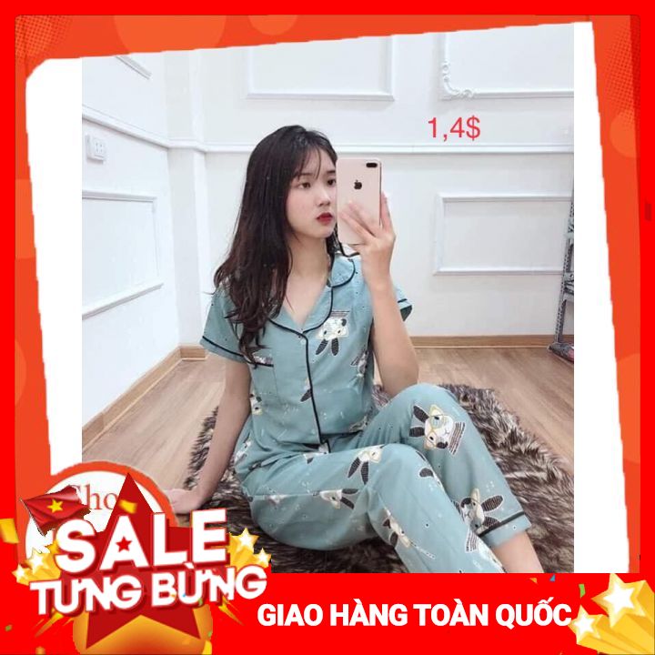 Bộ Pajama Dành Cho Nữ Áo Tay Ngắn Quần Dài Hoạ Tiết Hoạt Hình
