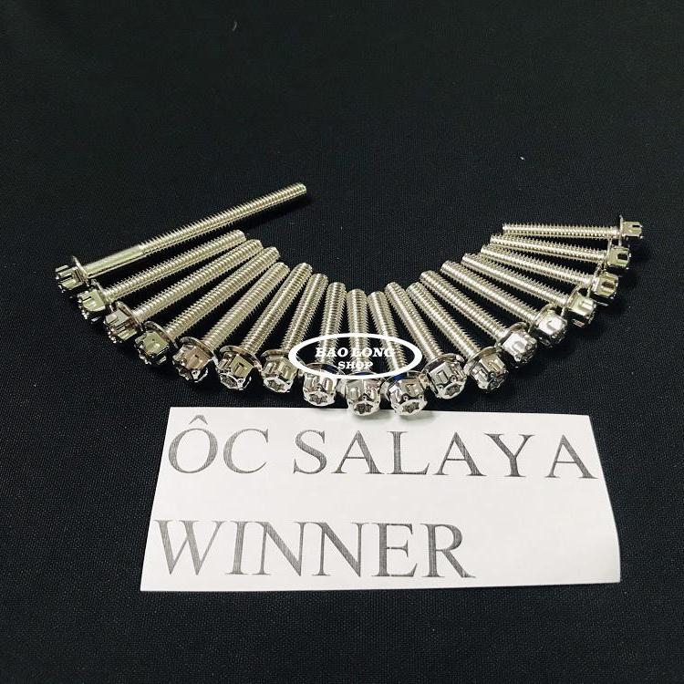 Bộ ốc lốc máy salaya gắn sirius