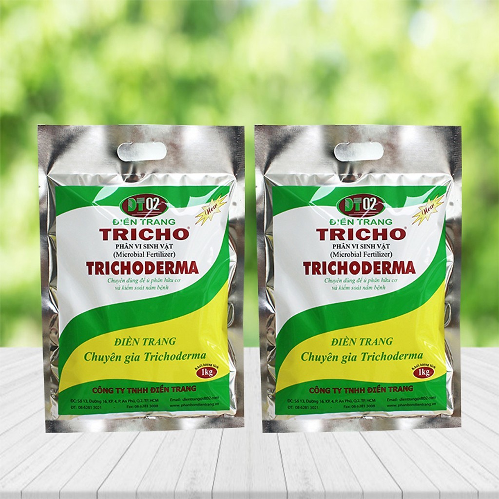 Vi sinh vật cải tạo đất Trichoderma ĐT