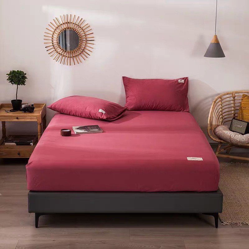 Ga giường cotton Tici kèm 2 vỏ gối nằm phong cách hàn Quốc đủ màu, đủ size