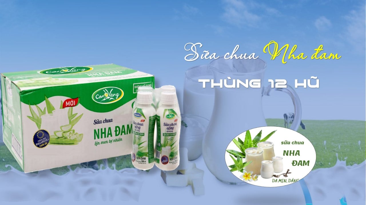 SỮA CHUA NHA ĐAM - CON BÒ VÀNG