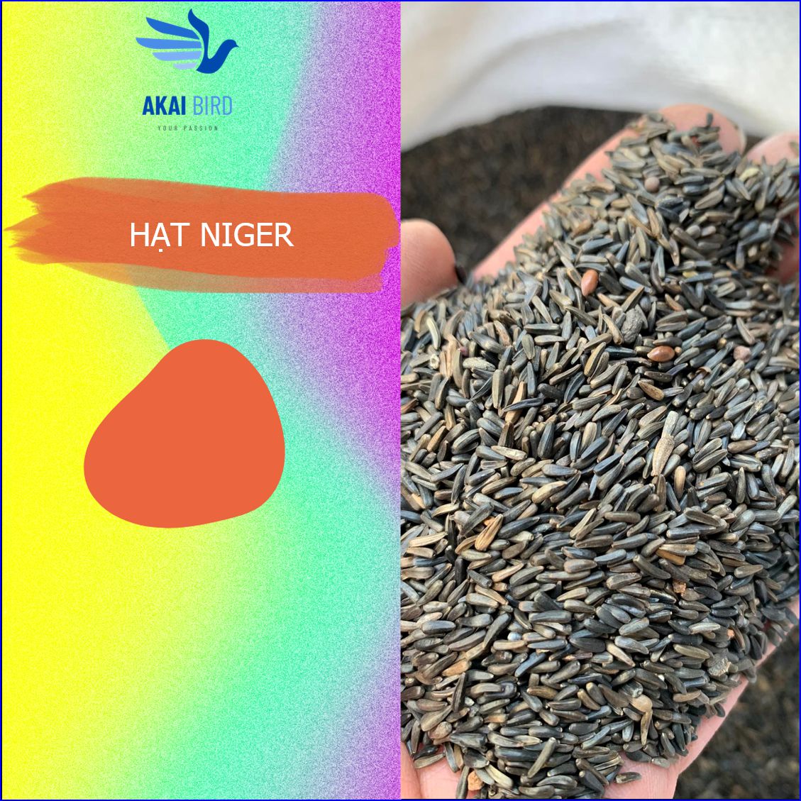 Hạt niger dành cho vẹt, yến hót, chim cảnh....