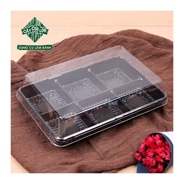 Set 10 hộp pet 6 bánh ht530