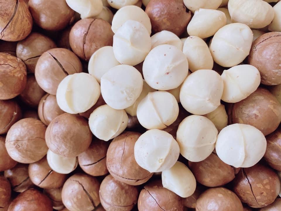 500gr Nhân Macca nguyên sz Đại loại 1 to đẹp siêu ngon