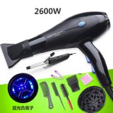 2600W High-Power Household Hair Dryer Hot Cold Wind Electric Hair Blower Professional Salon Barber Shop Use Hair Styling Tools - intl