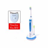 Bàn chải máy đánh răng Sonic + quà tặng