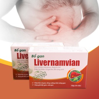 Bộ 2 hộp bổ gan giải độc gan Livernamvian  