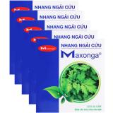 Bộ 5 hộp nhang máy cứu ngải Maxonga