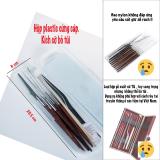 Bộ dụng cụ lấy ráy có hộp tiện dụng ( 10 món )