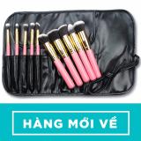 Cọ trang điểm 10 món kèm bao da bảo vệ Pro Comestic Makeup Sets