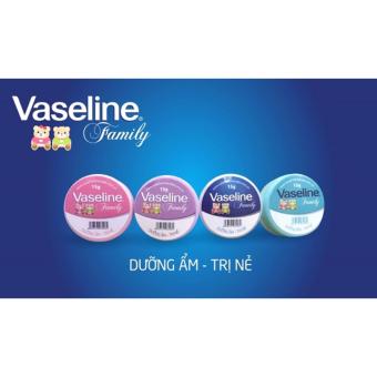 Kem dưỡng ẩm vaseline family (1 lọ 15g)  