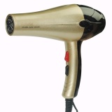 Máy sấy tóc 2 chiều công suất lớn model 3100