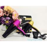 Máy sấy tóc Fashion hair dryer P-3100