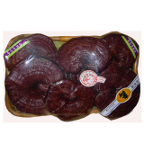Nấm linh chi núi phượng hoàng đỏ cao cấp 1kg