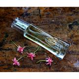 Nước hoa nam ahaperfumes aha879 boss 100ml