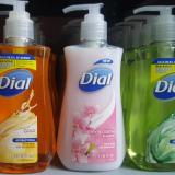 Nước rửa tay diệt khuẩn, dưỡng ẩm da tay Dial của Mỹ