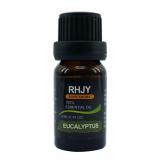 Tinh Dầu Bạch Đàn Eucalyptus Xông Hơi Massage Tại Nhà Hoặc Spa 10ml Dưỡng Da Mụn, Giảm Rụng Tóc Thơm Mát Thư Giãn