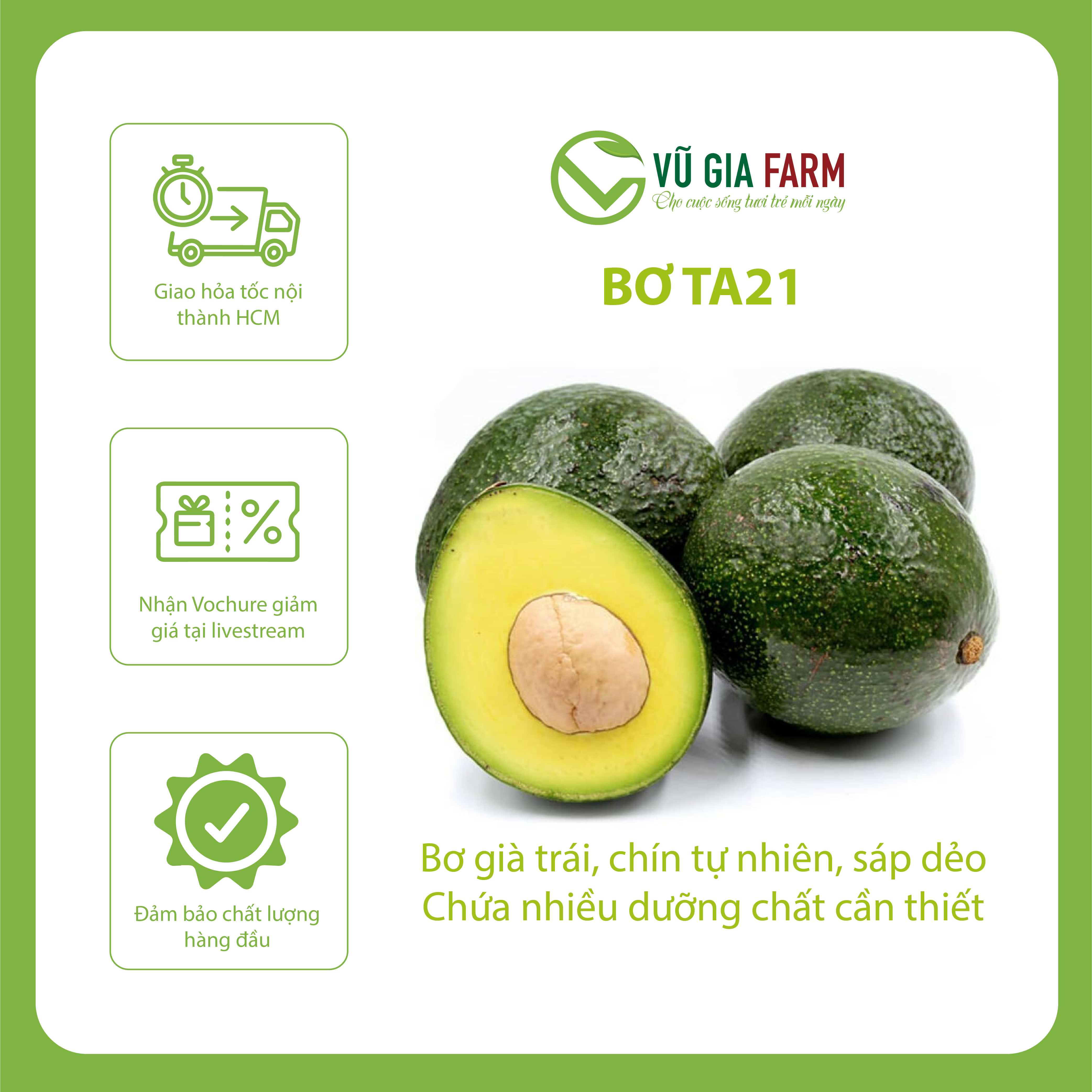 [HOẢ TỐC HCM] Bơ TA21/ Bơ 034/ Bơ Booth Size 2-3-4 trái/kg Tây Nguyên Vũ Gia Farm - bơ sạch nhà trồng, thu hoạch trực tiếp tại vườn, cơm vàng sáp dẻo ngon lắm ạ
