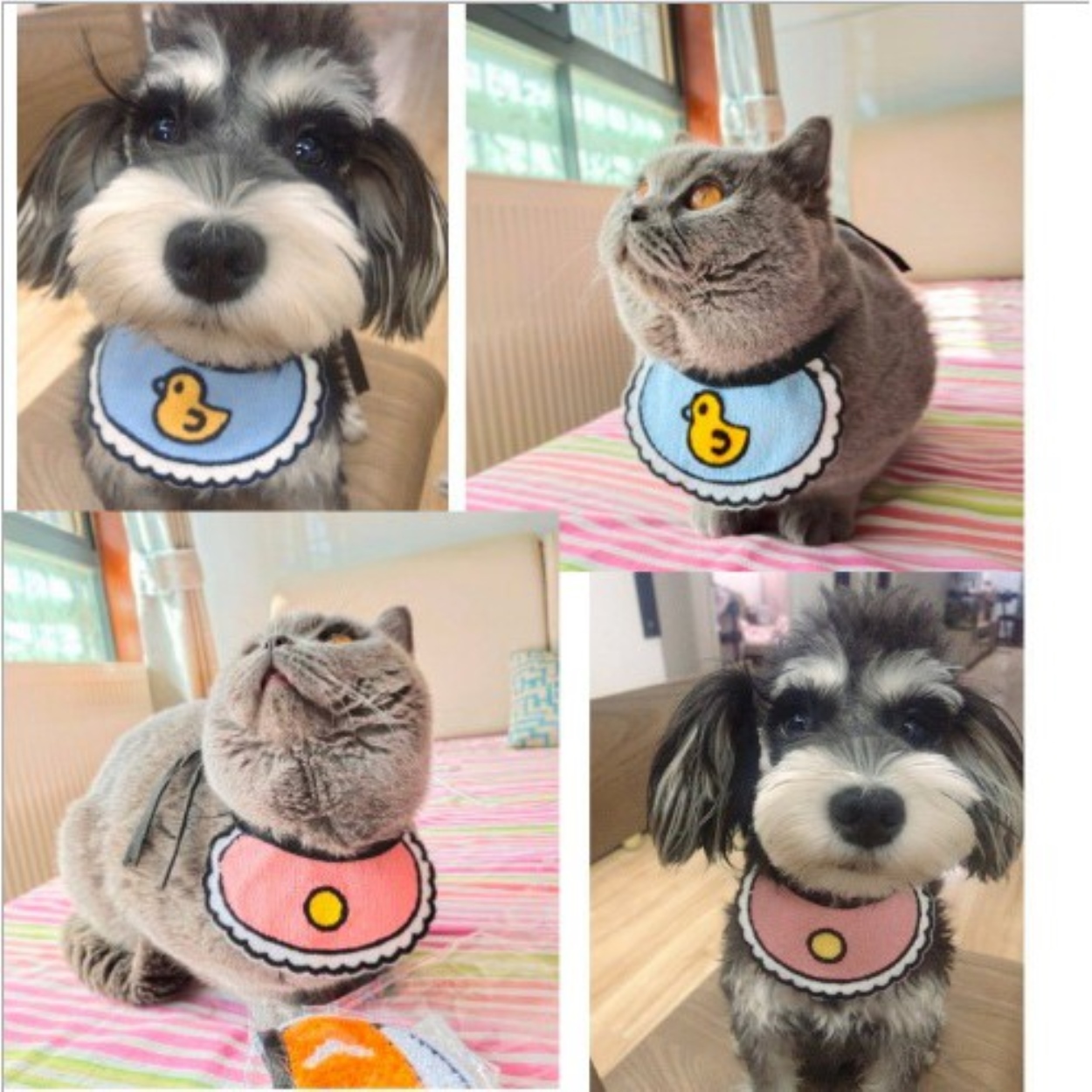 {HOT} Yếm Đeo Cổ Yếm Quàng Cổ Dễ Thương Xinh Xắn Cho Chó Mèo Thú Cưng