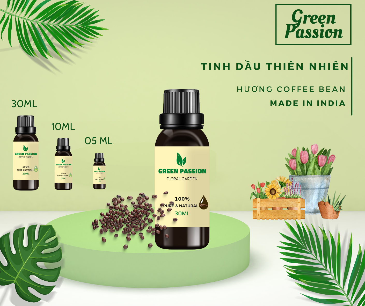 Tinh dầu Hạt Cà Phê cao cấp GREENPASSION giúp khử mùi, kháng khuẩn, tạo không gian ấm áp và sáng tạo hiệu quả