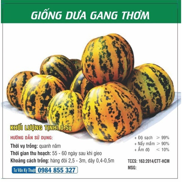 Hạt giống dưa gang thơm tn - hgvt1