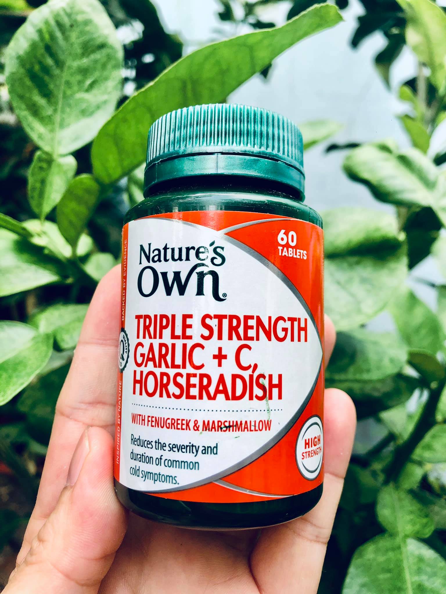 Nature Own Triple Strength Garlic C Horseradish 60 Tablets