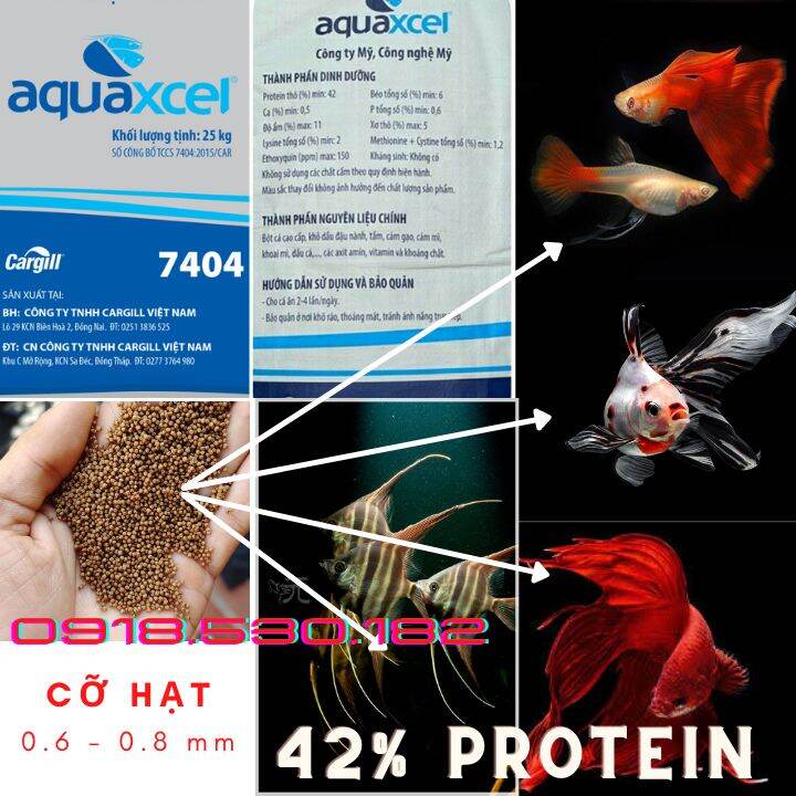 Hộp 300g cám cá cảnh cargill 7404 42% protein hạt 0.6mm, thức ăn cá cảnh.