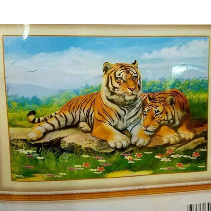 [HCM]Tranh thêu chữ thập đôi cọp vằn X8127 - kích thước 66 * 50