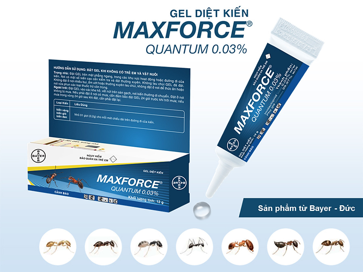 Thuốc diệt kiến Bayer Maxforce Quantum 12 gam dạng gel Không mùi, không gây phản ứng phụ cho người và vật nuôi