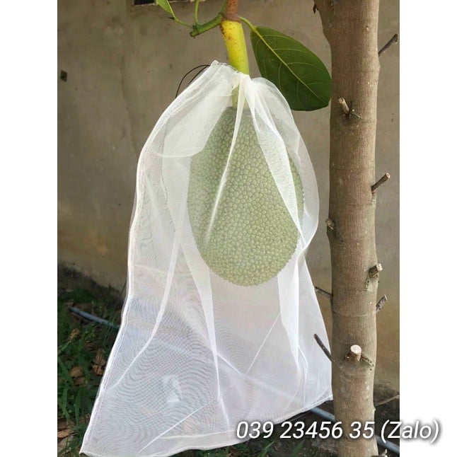 Túi lưới dày giúp bao bọc trái mít thái - túi bọc trái cây