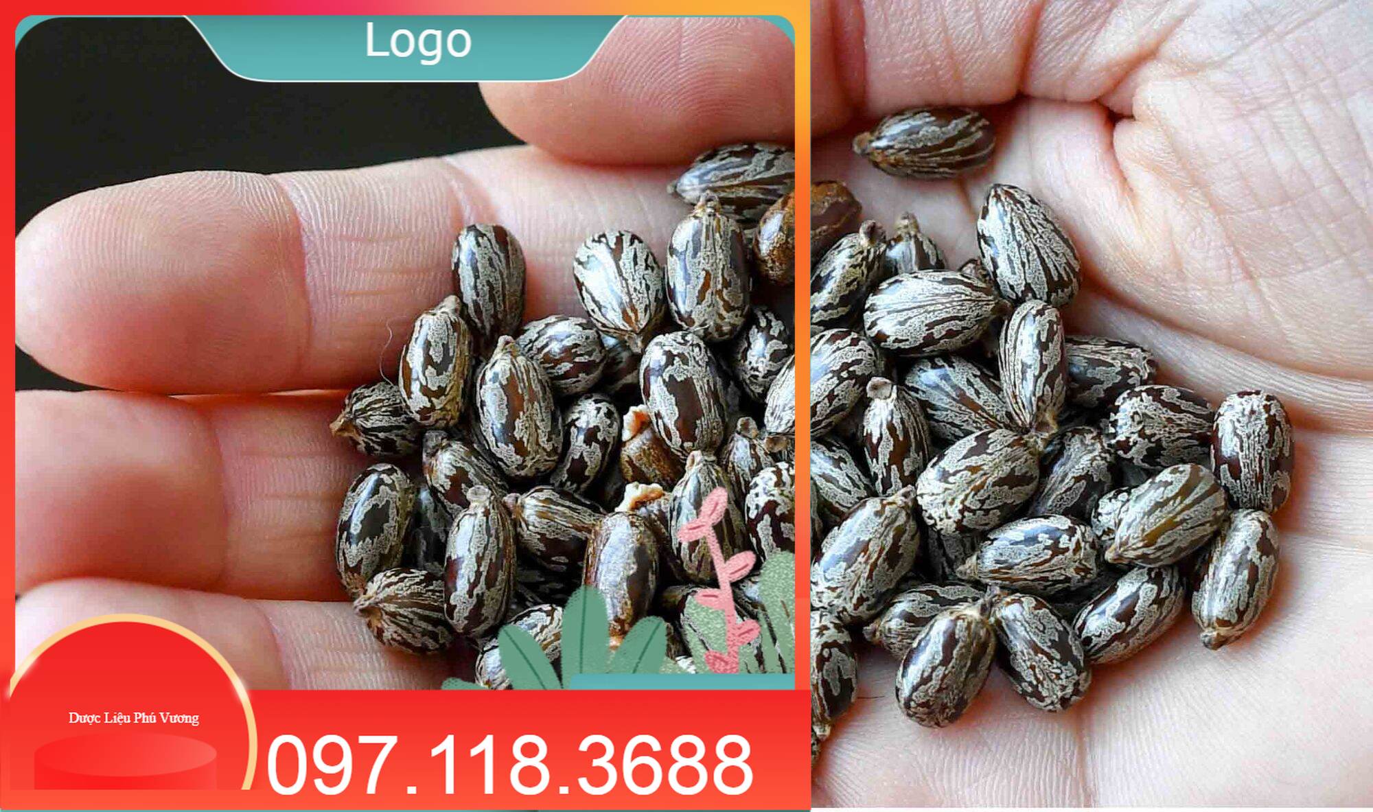 500gr hạt thầu dầu chắc mẩy, khô sạch. hàng chất lượng lh 0971183688