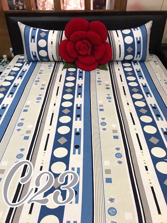 [HCM]Tấm Ga Giường Lẻ (Không Áo Gối) Cotton Thắng Lợi : Đủ Size, Nhiều Mẫu - Khách Chat Để Chọn Màu Như Ý