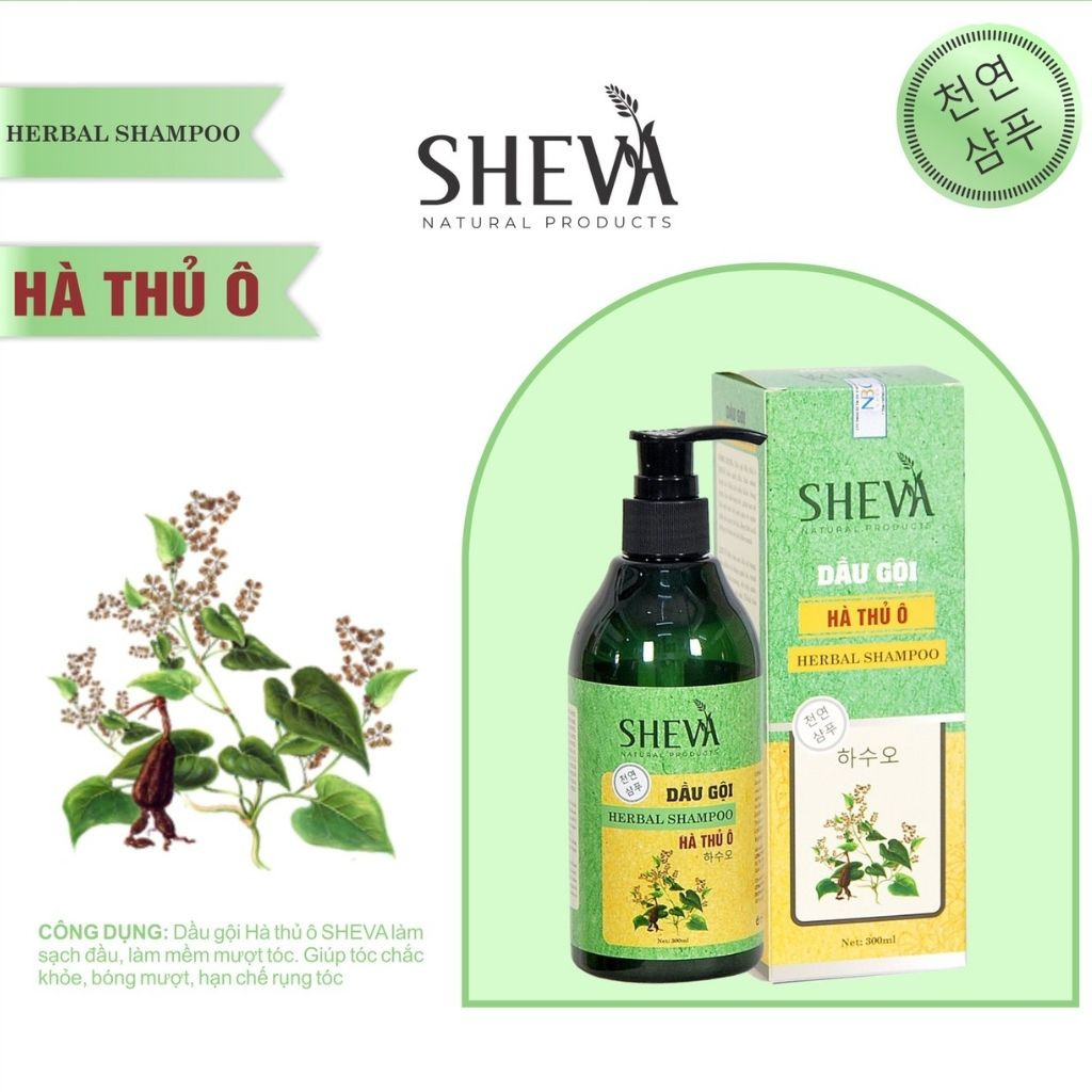 Dầu gội Hà Thủ Ô Sheva 300ml giảm rụng tóc, giảm bạc tóc, kích thích mọc tóc, Dầu gội thảo dược (Dòng hiện đại tiện lợi) 100% tự nhiên kích thích mọc tóc, Tóc Khỏe
