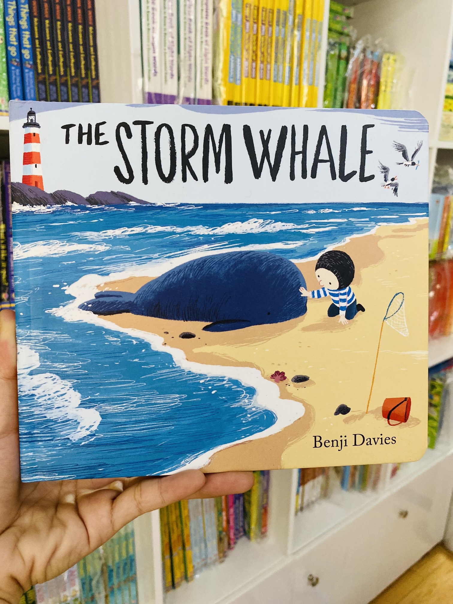 The Storm Whale