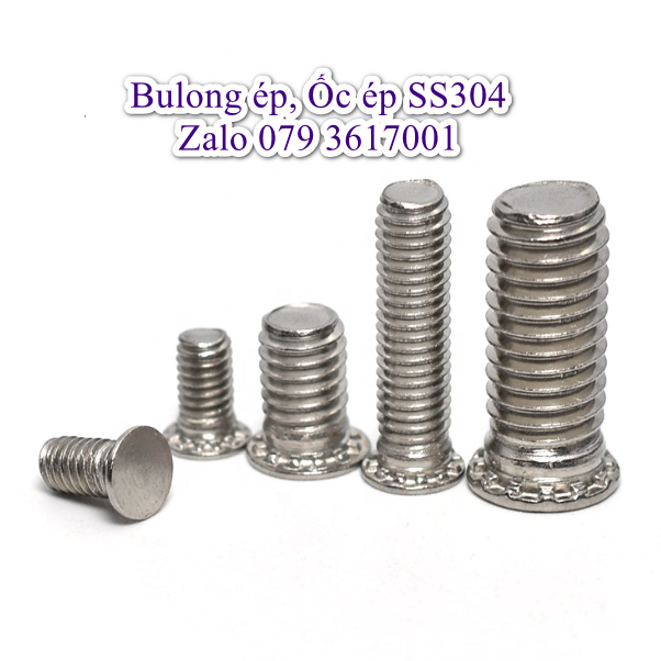 Bulong ép inox 304 , ốc ép inox 304 , bulong tự giữ inox 304 , vít chống xoay fh inox 304 _ bịch 10 con