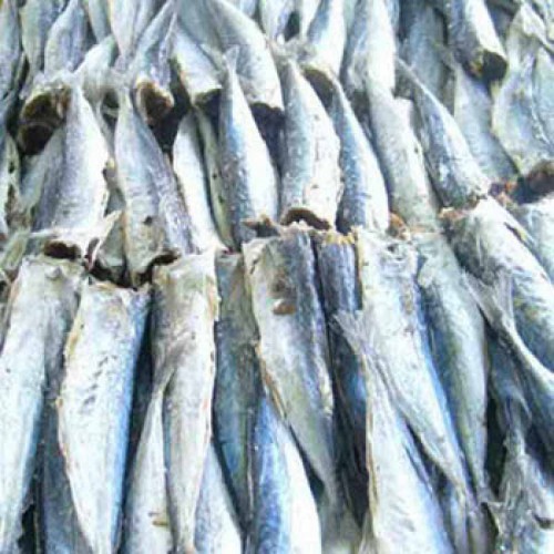 500gram khô Cá Nục - cá nục khô Loại Ngon BUGASABU FOODS