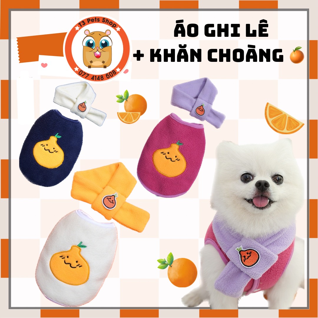 áo ghi lê kèm khăn choàng trang trí thêu hình trái tắc mũm mĩm dành cho chó mèo