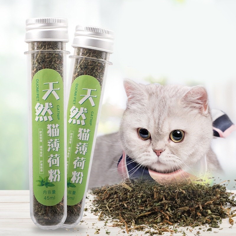 Catnip cỏ bạc hà cho mèo ống 45ml