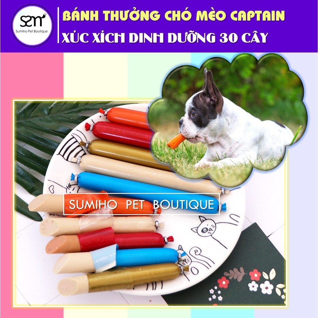 https://vn-live-01.slatic.net/p/50713ac08bd79006a8f041f115d027fe.jpg