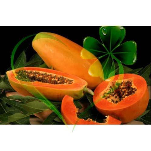Hạt giống đu đủ ruột đỏ - gói 10 hạt