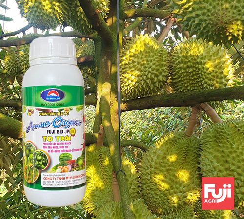 Phân bón hữu cơ Amino Organic thay thế phân hóa học FUJI BIO 500ml